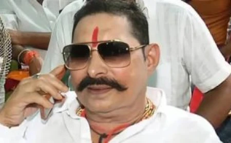 बिहार: अनंत सिंह की पत्नी नीलम देवी से छिना राज्यमंत्री का दर्जा, समिति से हटाया
