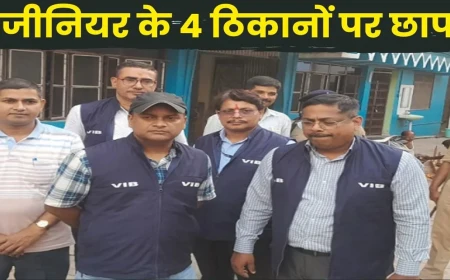 VIGILANCE RAIDS