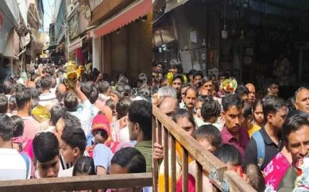 बांकेबिहारी मंदिर में पेड़े और फूलमाला फेंककर चढ़ाने पर रोक, मिलावटी प्रसाद पर भी सख्ती