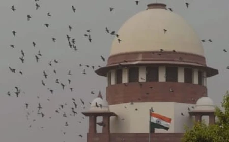 सीजेआई के इस्तीफे की मांग पर सुप्रीम कोर्ट बार एसोसिएशन को आपत्ति, कहा- न्यायपालिका की गरिमा बनाए रखें