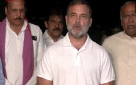 राष्ट्रपति ने वोट चोरी के आरोपों को खारिज नहीं किया: मुलाकात के बाद राहुल गांधी का दावा, बोले- सबूत सौंपेंगे