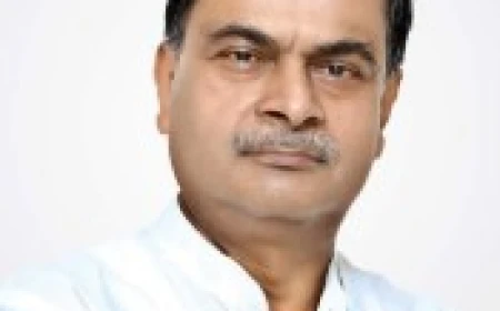 THE CO MANIPULATES LAND RECORDS AND MUTATIONS IN EXCHAGE FOR BRIBES: R K SINGH