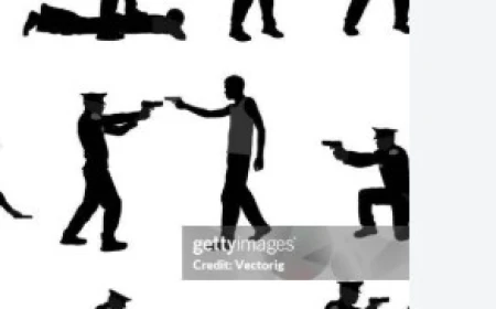 ONE INJURED IN POLICE ENCOUNTER