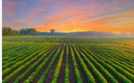 FOCUS ON NATURAL FARMING IN FARMERS’ WORKSHOP