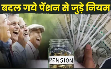 NEW PENSION SCHEME