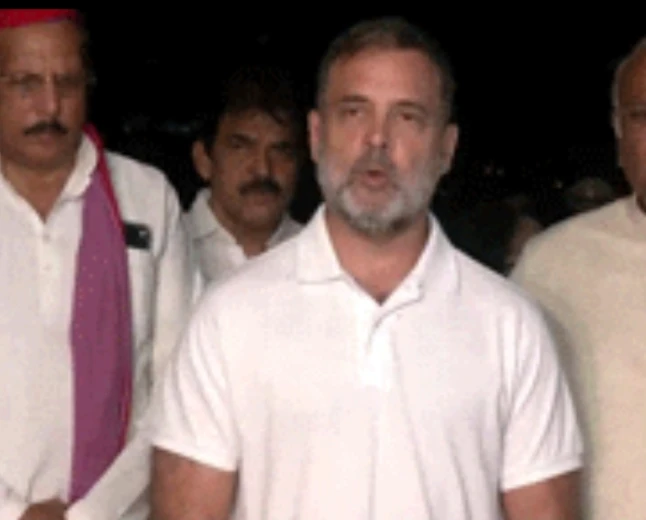 राष्ट्रपति ने वोट चोरी के आरोपों को खारिज नहीं किया: मुलाकात के बाद राहुल गांधी का दावा, बोले- सबूत सौंपेंगे